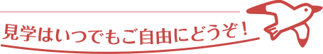 見学はいつでもご自由にどうぞ！